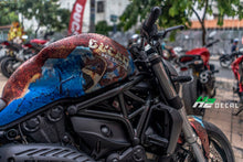 Load image into Gallery viewer, Ducati Monster 821 Stickers Kit - 005