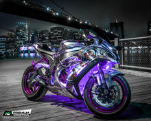 Load image into Gallery viewer, Kawasaki Ninja ZX10R Stickers Kit - 018 - H2 Stickers - Worldwide