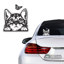 Load image into Gallery viewer, White cat stickers for car | Funny cute sticker decal for Fords, BMW, Chevy
