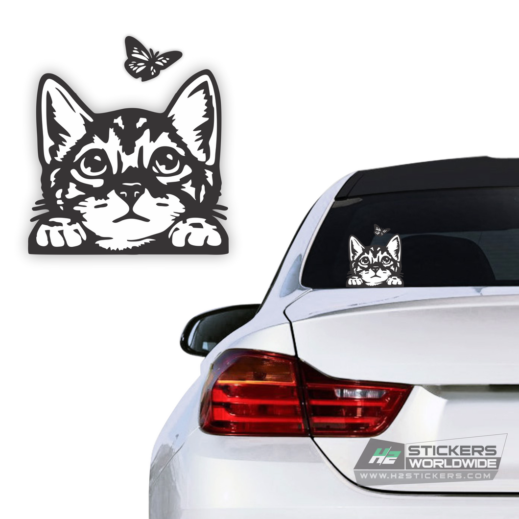 White cat stickers for car | Funny cute sticker decal for Fords, BMW, Chevy