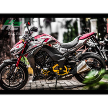 Load image into Gallery viewer, Kawasaki Z1000 Stickers Kit - 010 - H2 Stickers - Worldwide
