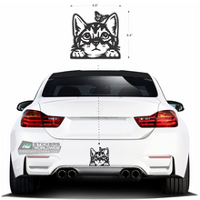 Load image into Gallery viewer, White cat stickers for car | Funny cute sticker decal for Fords, BMW, Chevy
